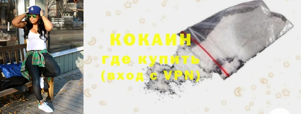 прущие грибы Абинск